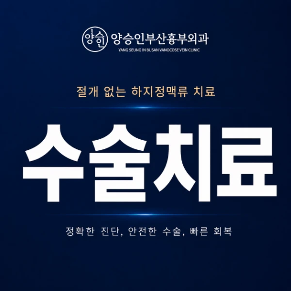 하지정맥류 수술치료